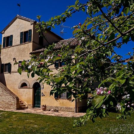 I Ciliegi Bed and Breakfast Osimo Εξωτερικό φωτογραφία